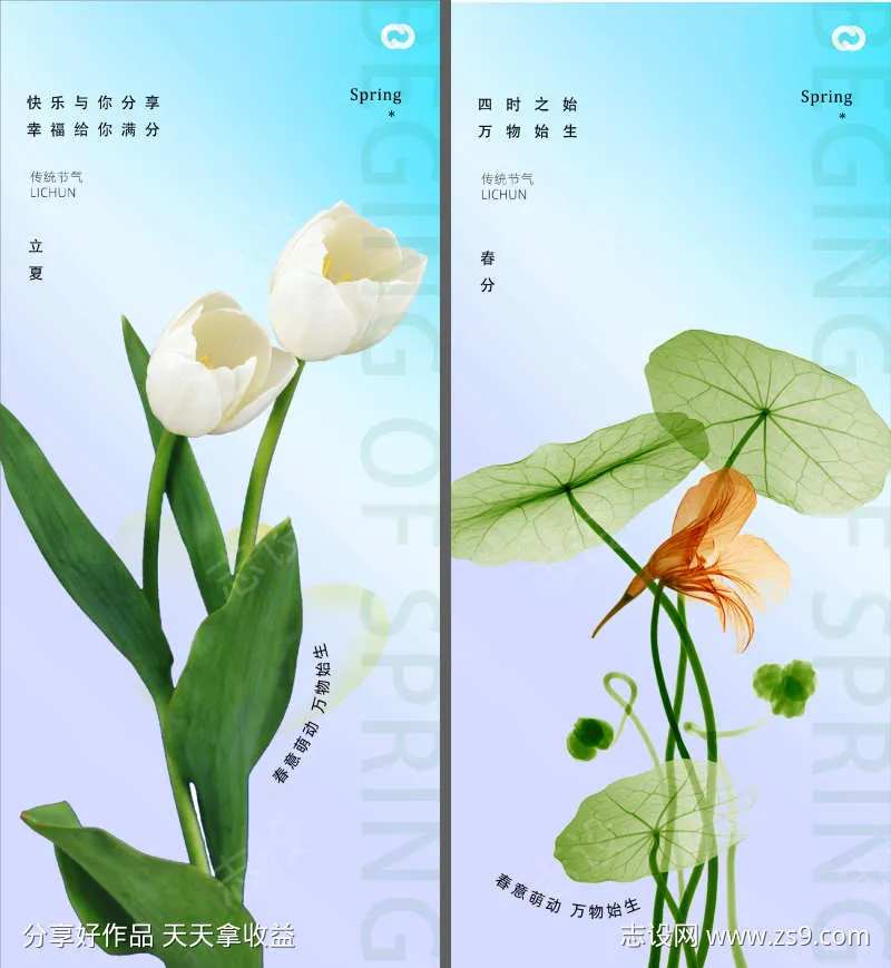春分立夏夏至24节气荷叶百合海报-采灵感-cailinggan.com