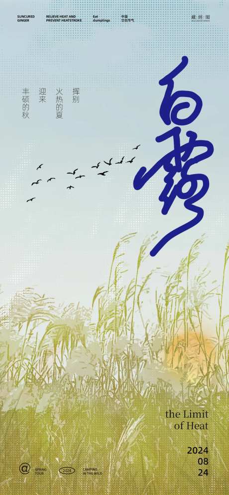 白露芦苇插画海报-采灵感-https://www.cailinggan.com/