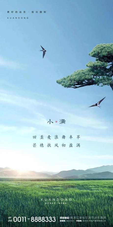 小满节气移动端海报                                                                                                                                                                                               -采灵感-https://www.cailinggan.com/