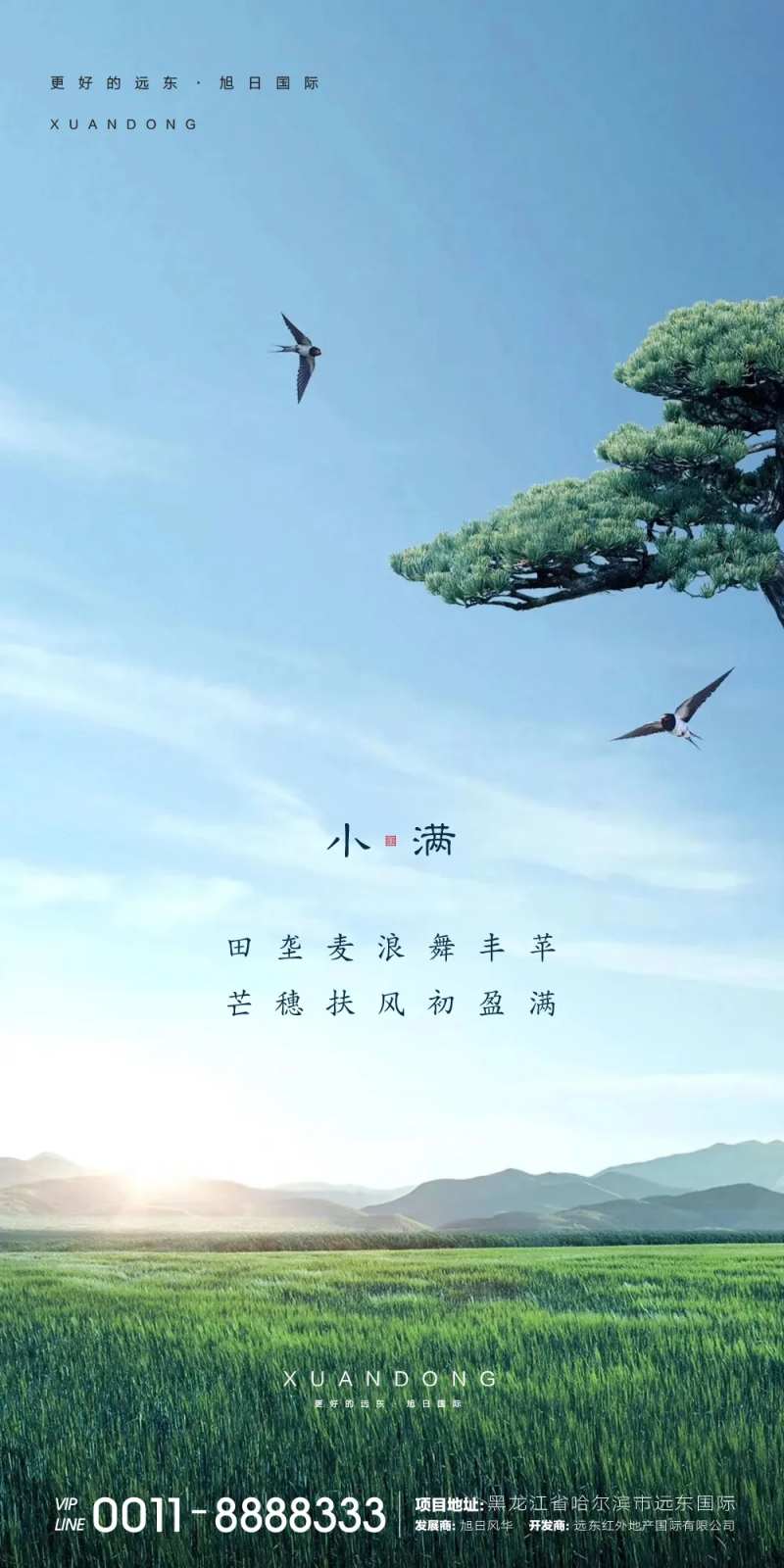 小满节气移动端海报                                                                                                                                                                                               -采灵感-cailinggan.com
