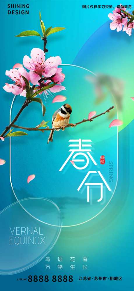 树枝上的小鸟绿植春分节气海报-采灵感-https://www.cailinggan.com/