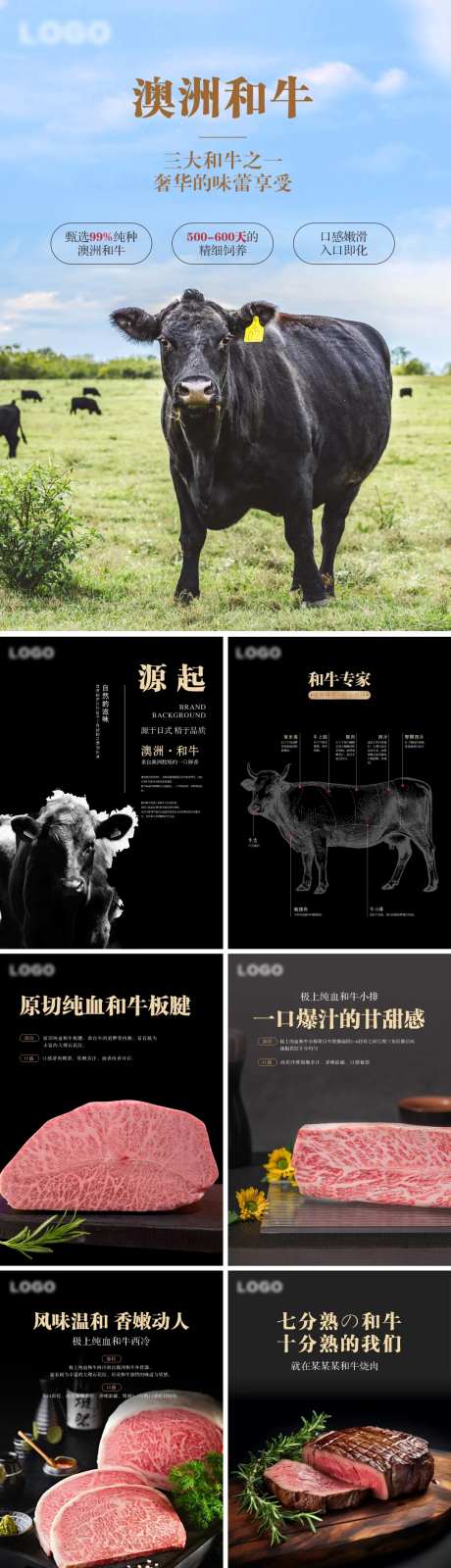 澳洲和牛宣传海报-采灵感-https://www.cailinggan.com/