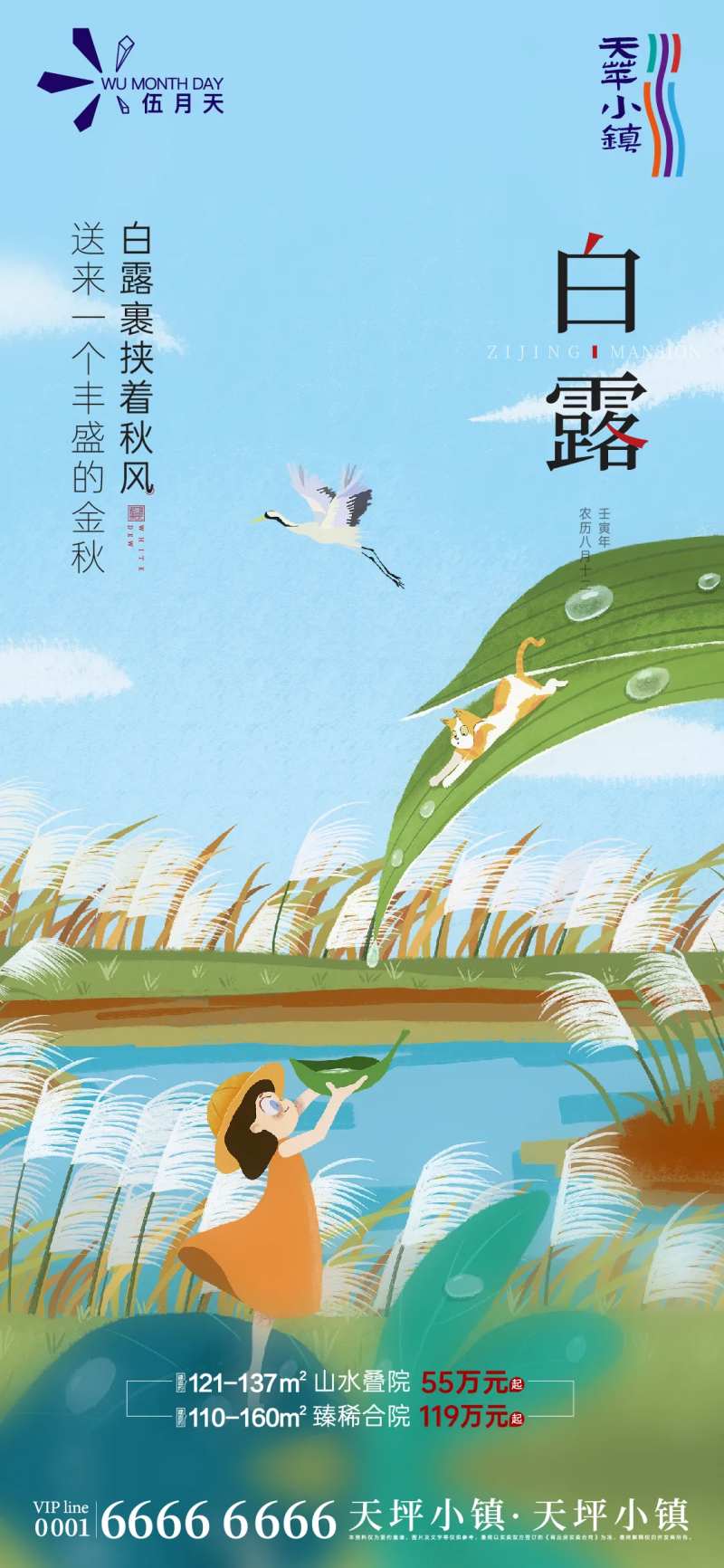 白鹭海报-采灵感-cailinggan.com