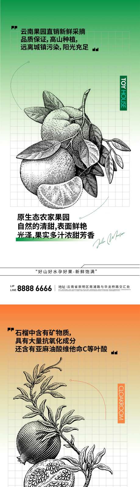 水果版画橘子石榴蓝莓系列海报-采灵感-https://www.cailinggan.com/