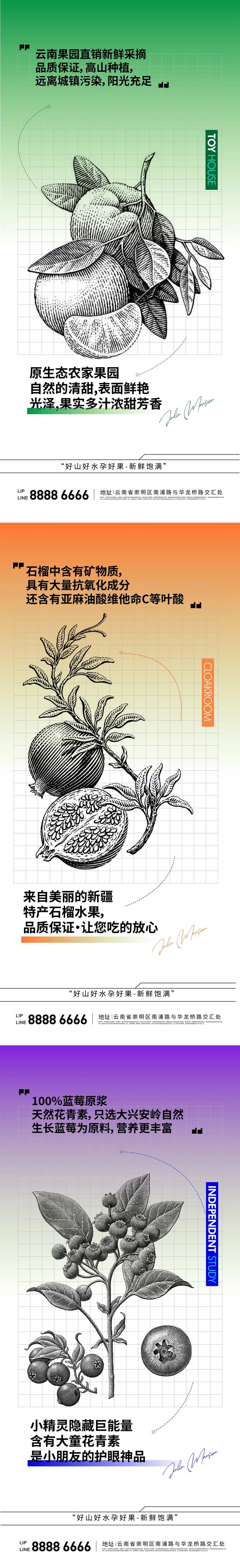 水果版画橘子石榴蓝莓系列海报-采灵感-cailinggan.com