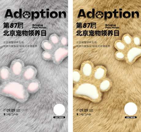 宠物领养-采灵感-https://www.cailinggan.com/