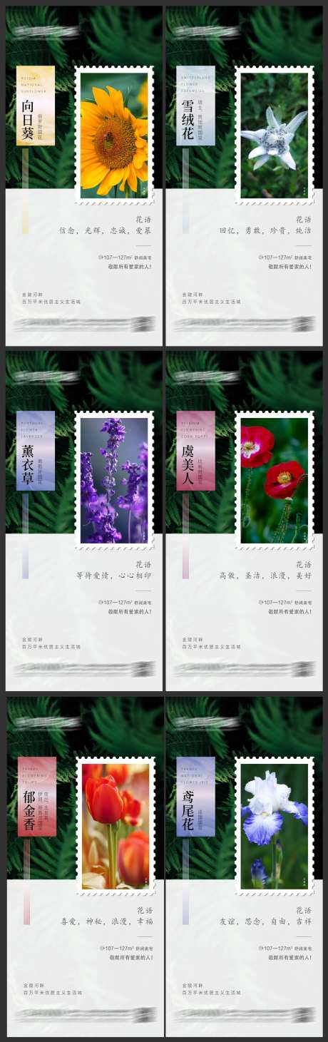 国花系列-采灵感-https://www.cailinggan.com/