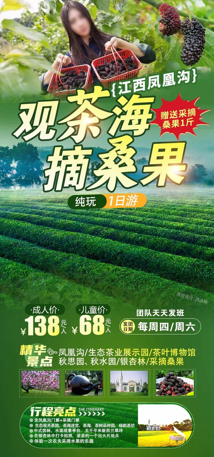 南昌桑果采摘海报-采灵感-cailinggan.com