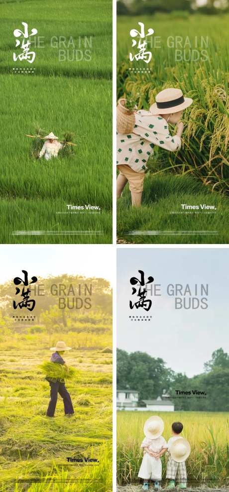 小满24节气稻田地产海报-采灵感-https://www.cailinggan.com/