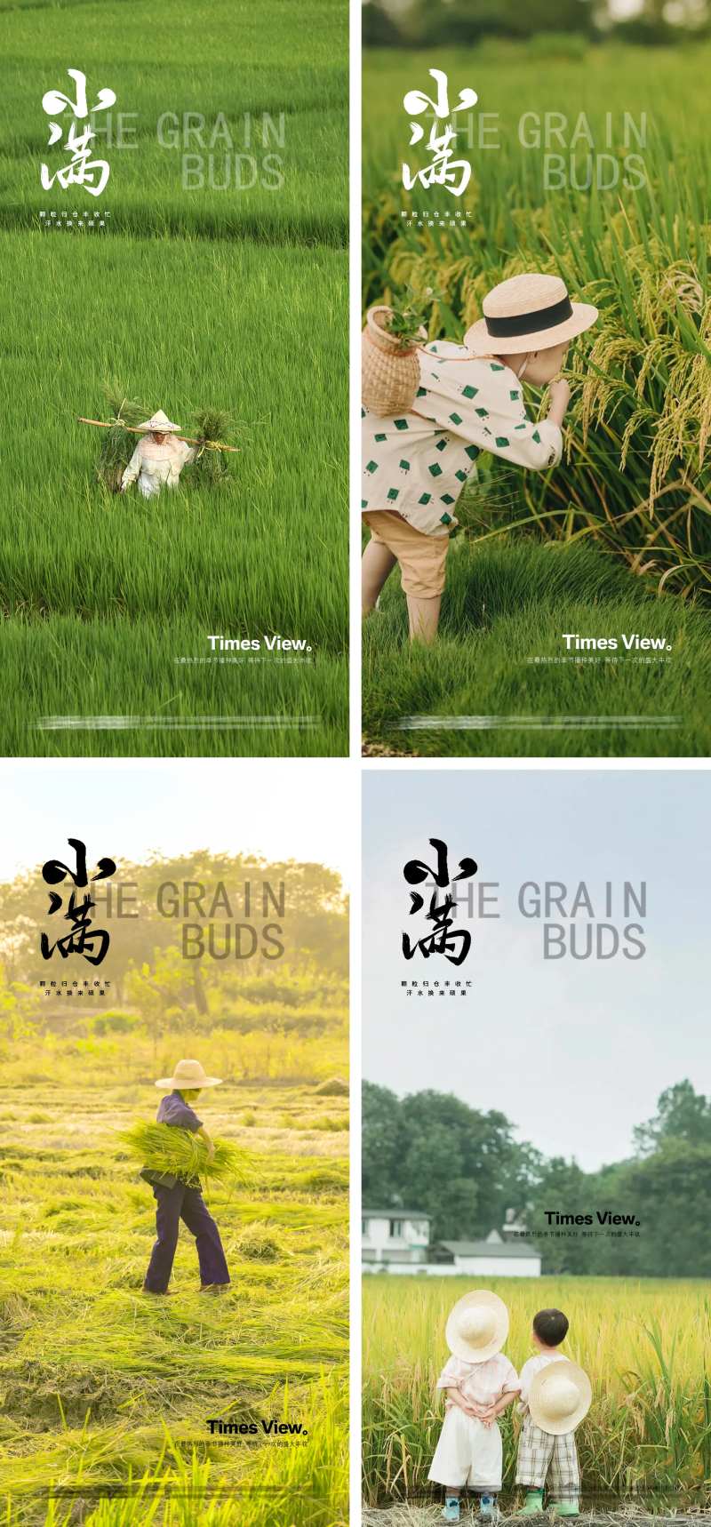 小满24节气稻田地产海报-采灵感-cailinggan.com