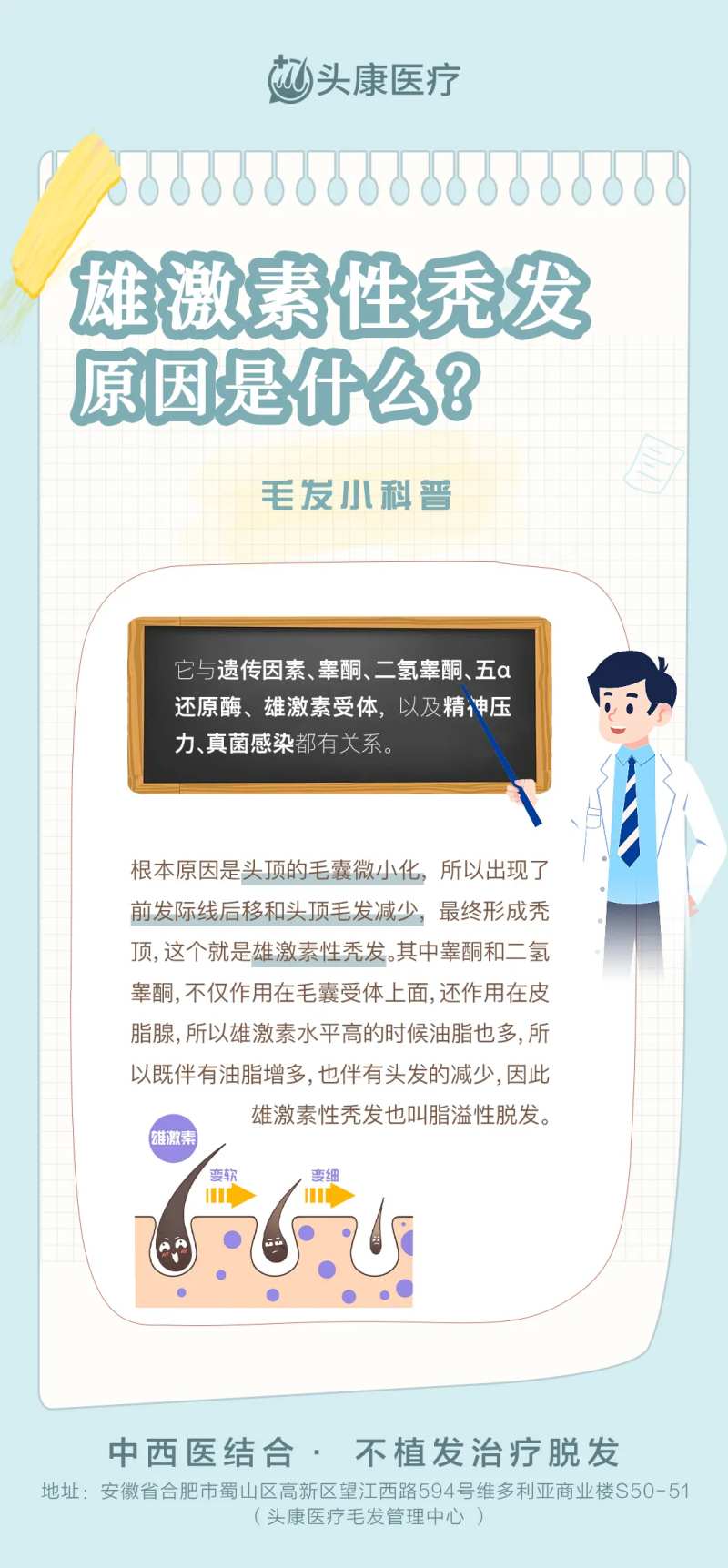 脱发科普海报-采灵感-cailinggan.com