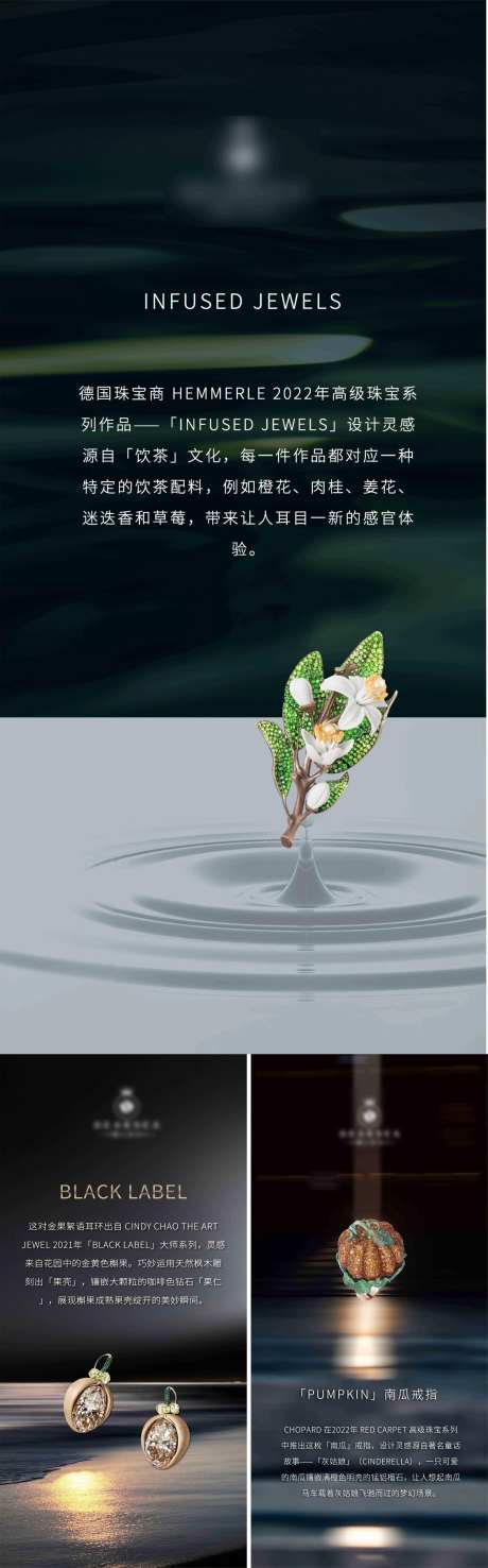 珠宝鉴赏价值点系列海报-采灵感-https://www.cailinggan.com/
