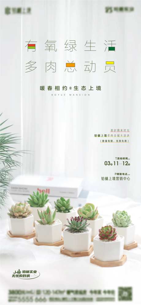 房地产 多肉绿植暖场活动-采灵感-https://www.cailinggan.com/