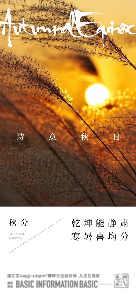 秋分节气海报-采灵感-cailinggan.com