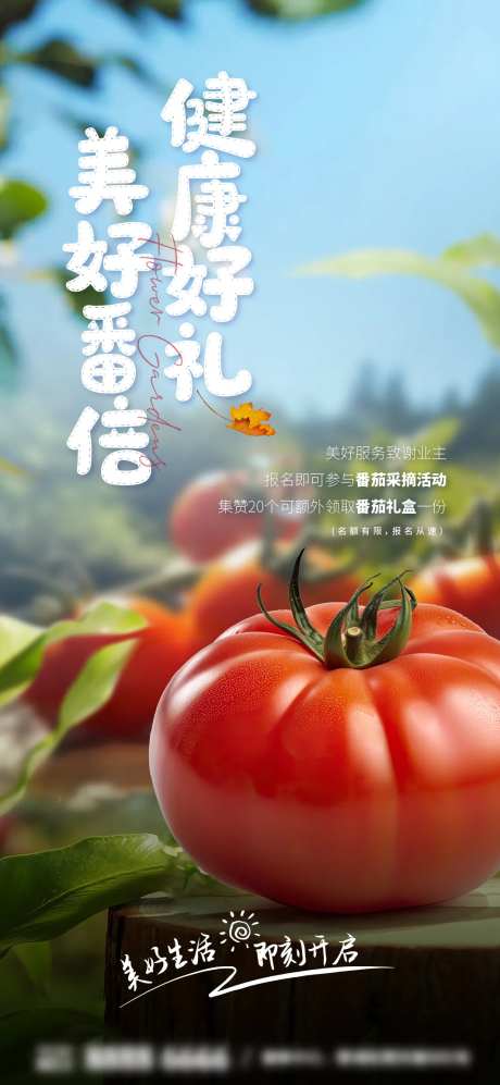 番茄采摘活动-采灵感-https://www.cailinggan.com/