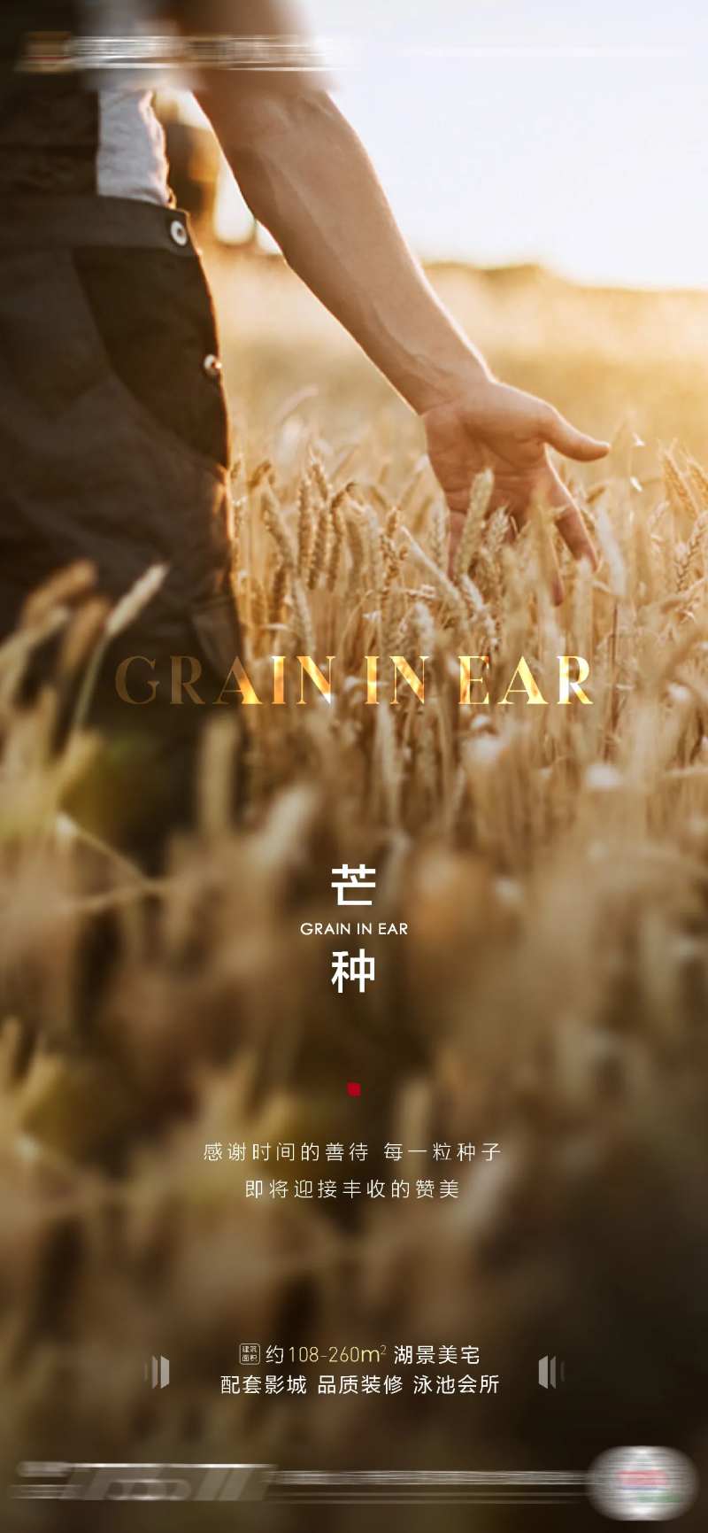 房地产芒种节气农历节日谷物丰收海报-采灵感-cailinggan.com