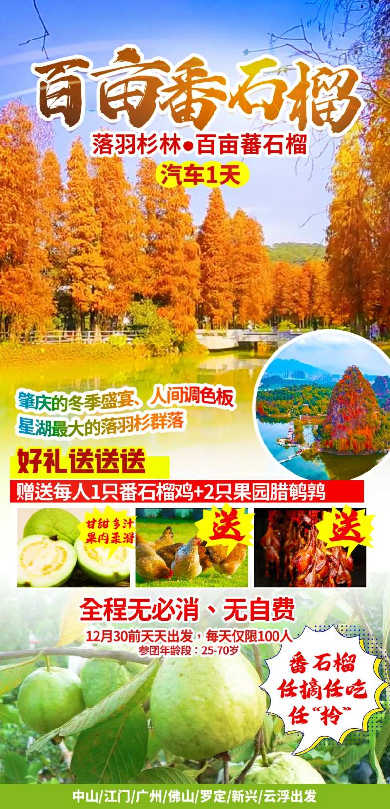 百亩番石榴海报-采灵感-cailinggan.com