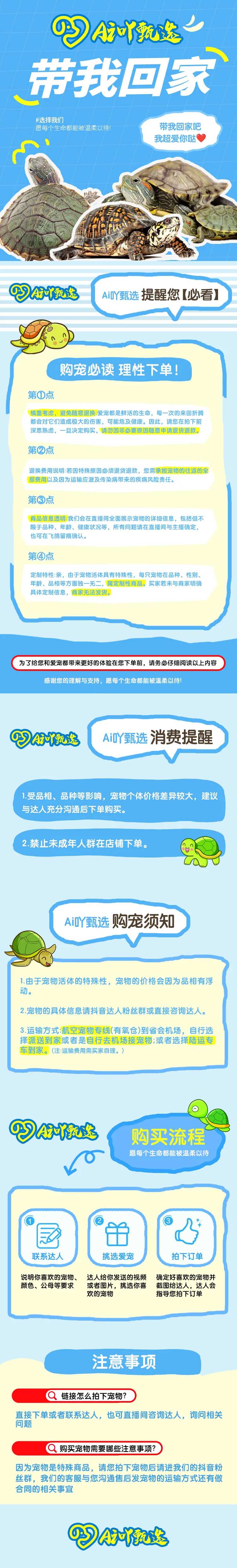 宠物领养爱宠首页-采灵感-cailinggan.com