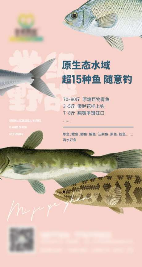 鱼类原生态简介海报-采灵感-https://www.cailinggan.com/