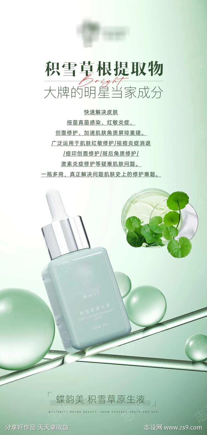 积雪草根提取物-采灵感-cailinggan.com