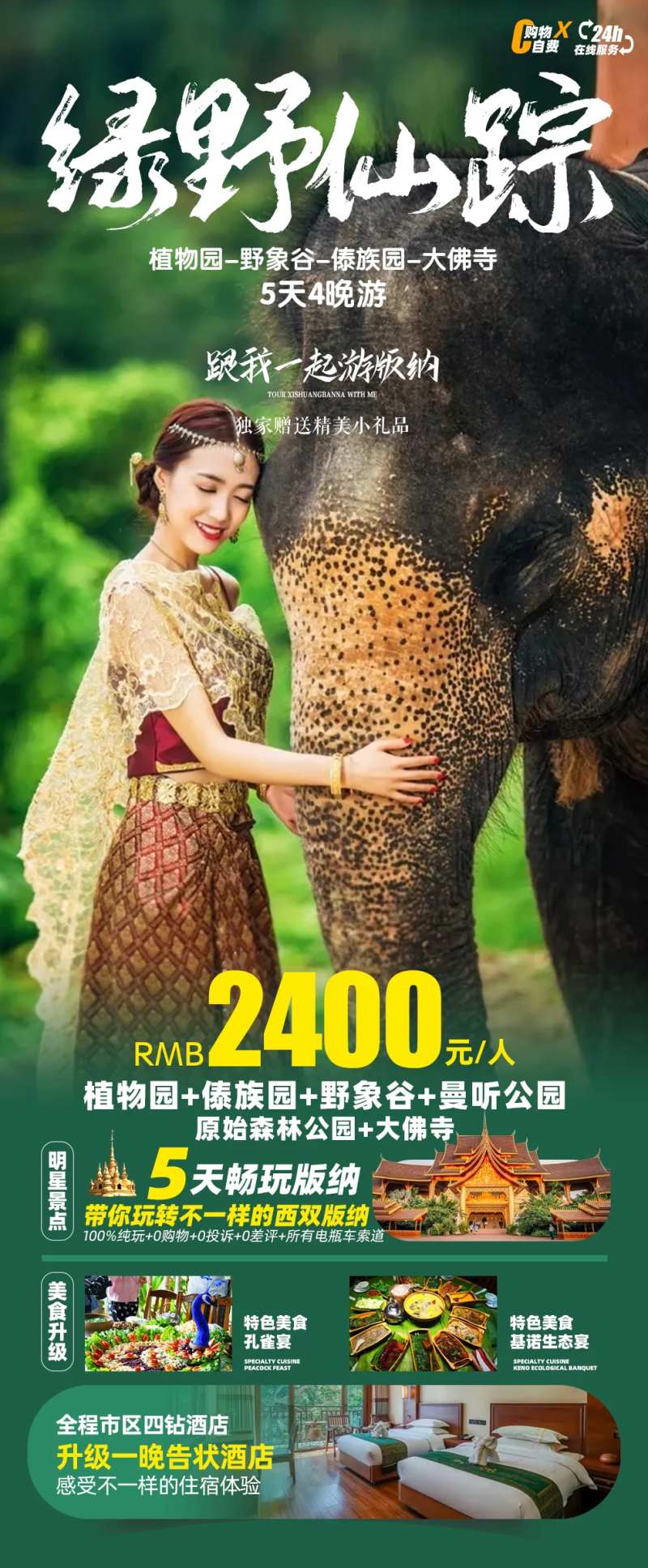 绿野仙踪版纳之旅海报-采灵感-cailinggan.com
