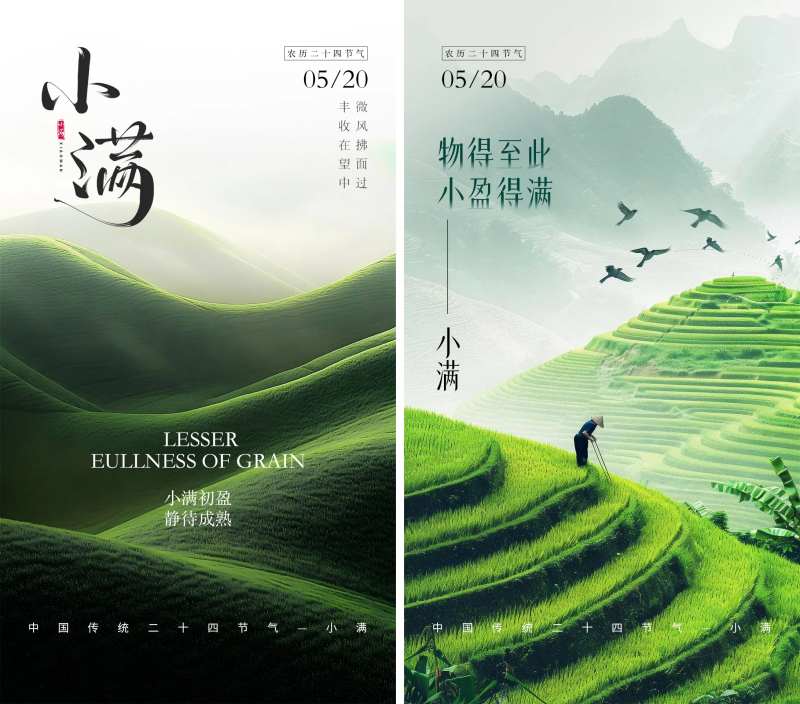 小满中国传统二十四节气海报-采灵感-cailinggan.com