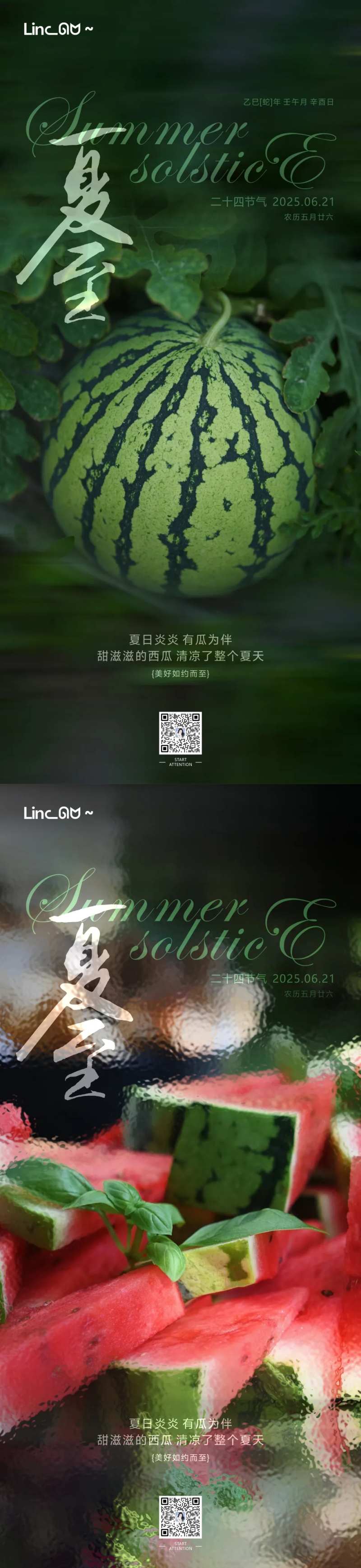 夏至西瓜节气系列海报-采灵感-cailinggan.com