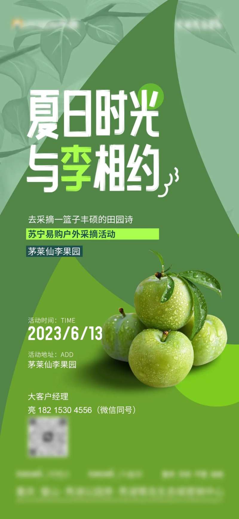 李子采摘活动海报-采灵感-cailinggan.com