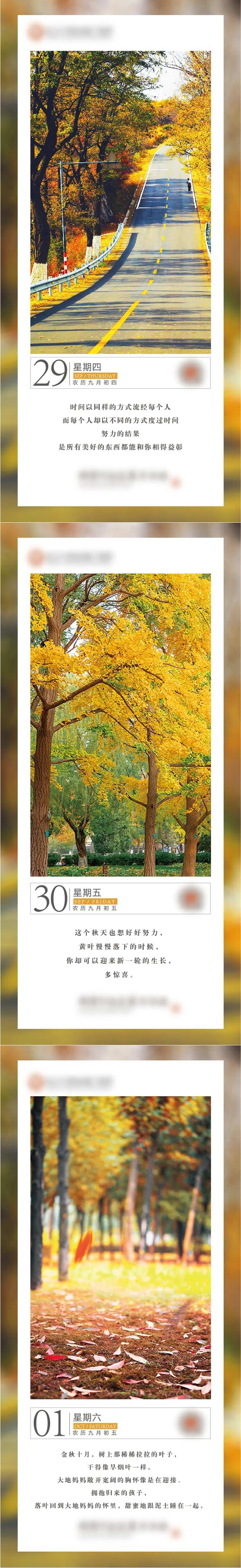 每日分享系列海报-采灵感-cailinggan.com