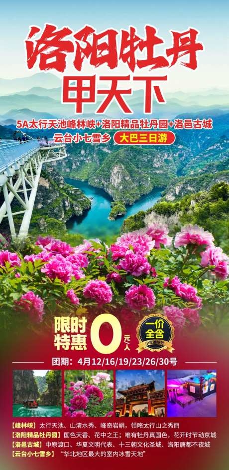 洛阳牡丹旅游海报-采灵感-https://www.cailinggan.com/