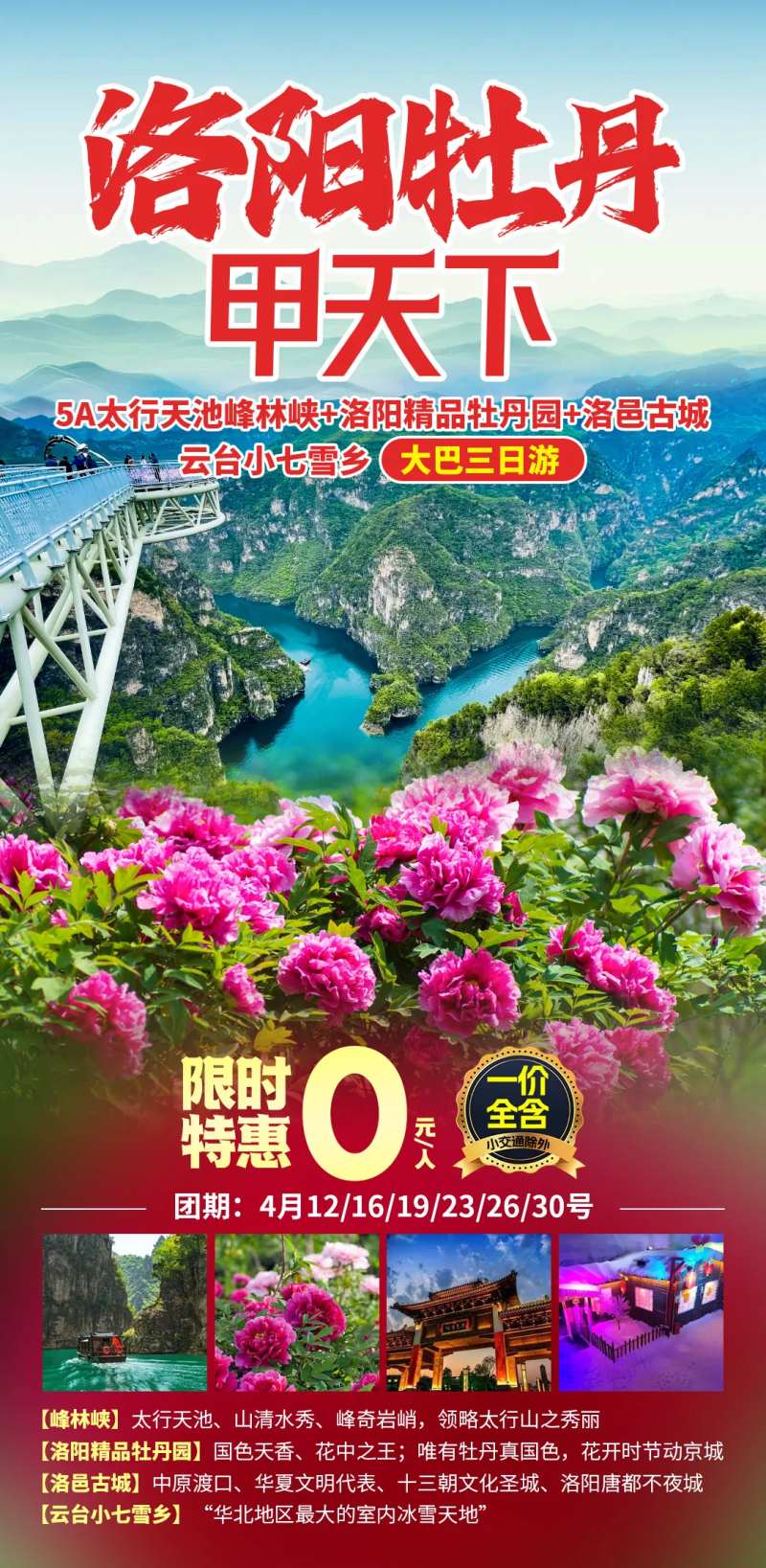 洛阳牡丹旅游海报-采灵感-cailinggan.com