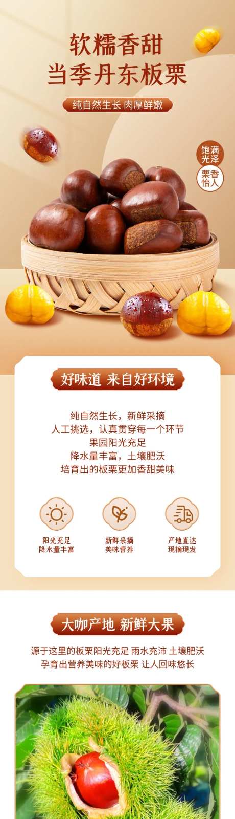 当季板栗详情页-采灵感-https://www.cailinggan.com/