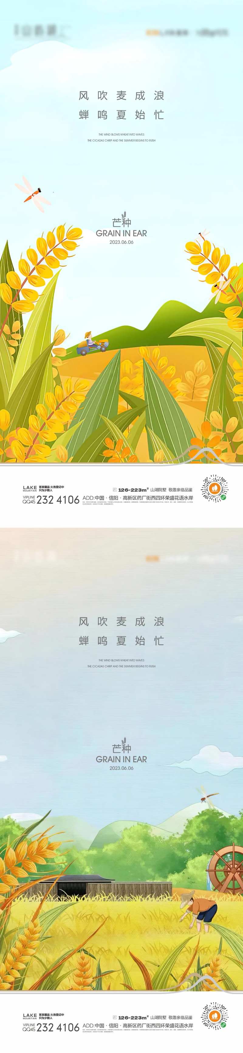 芒种插画-采灵感-cailinggan.com