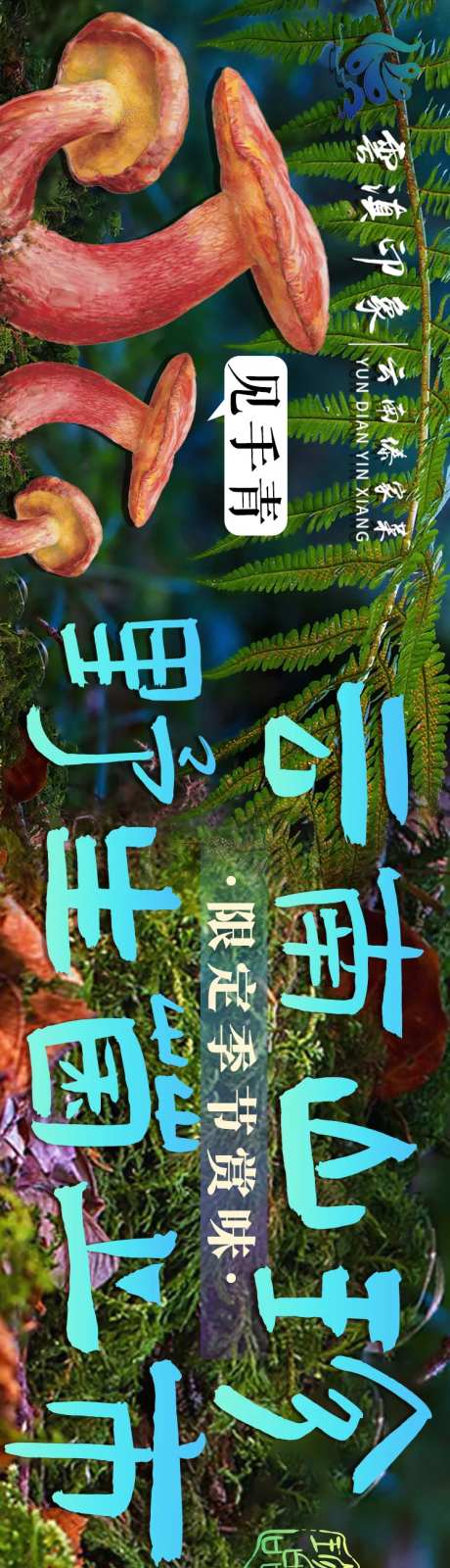 点评云南菜五连图-采灵感-https://www.cailinggan.com/