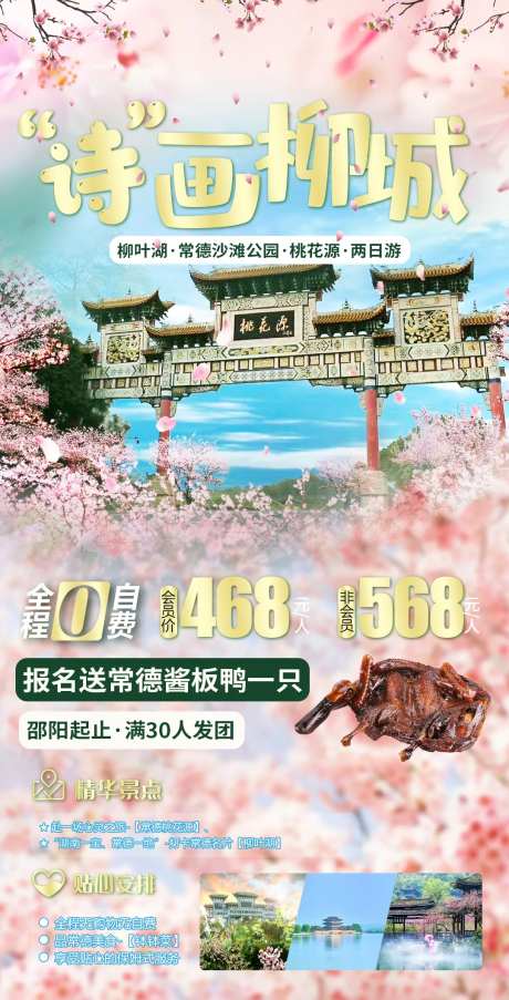 湖南常德桃花源赏桃花之旅海报-采灵感-https://www.cailinggan.com/