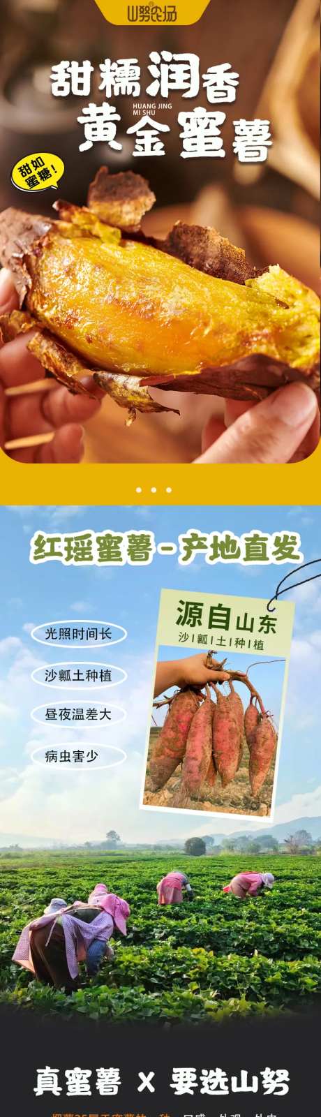 蜜薯产品电商详情页-采灵感-https://www.cailinggan.com/