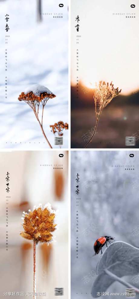 大寒小寒风景特写海报-采灵感-https://www.cailinggan.com/