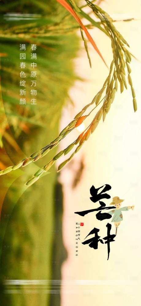 芒种节气海报-采灵感-cailinggan.com
