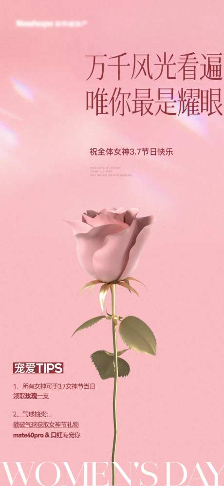 地产女神节玫瑰飞机稿-采灵感-https://www.cailinggan.com/