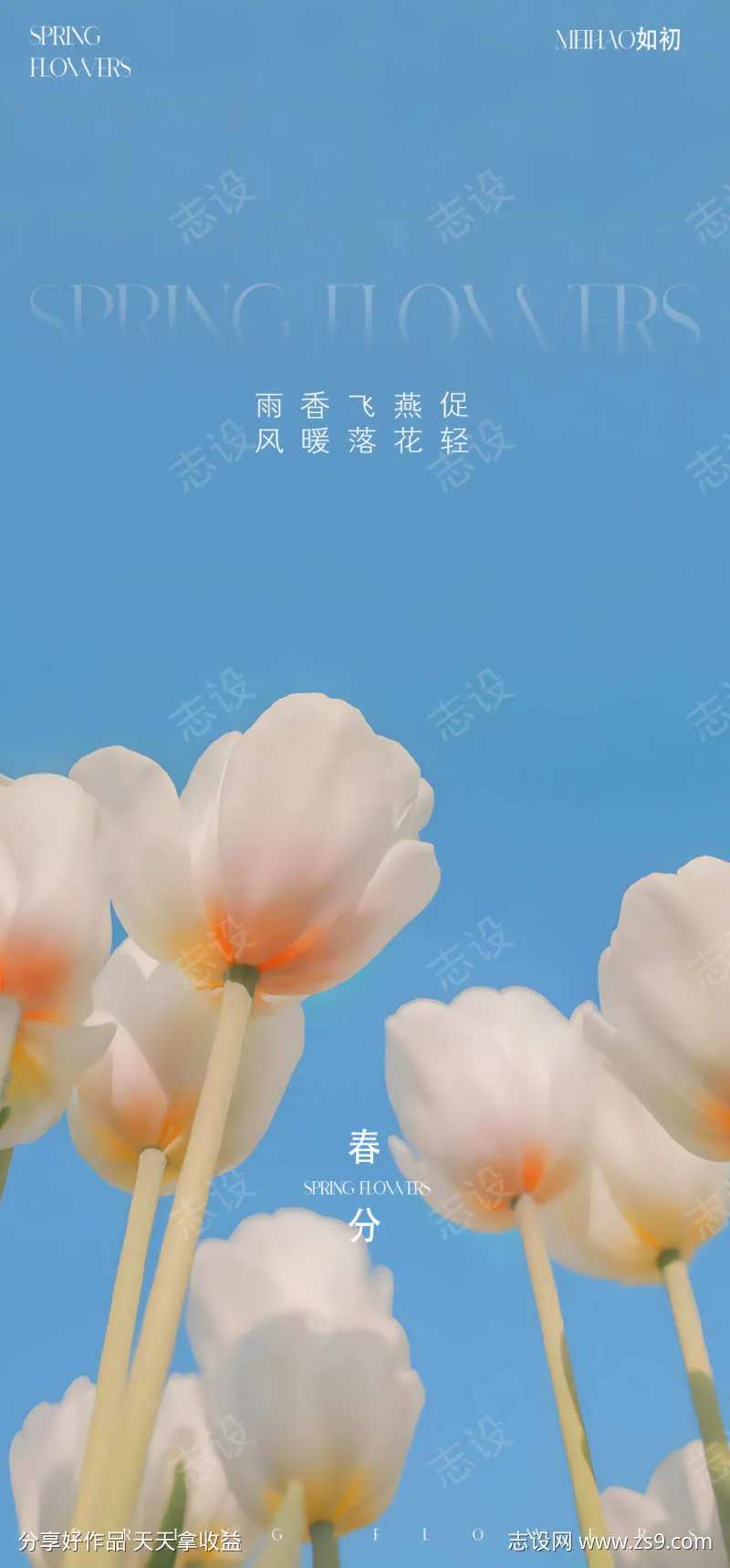 春天花卉海报-采灵感-cailinggan.com