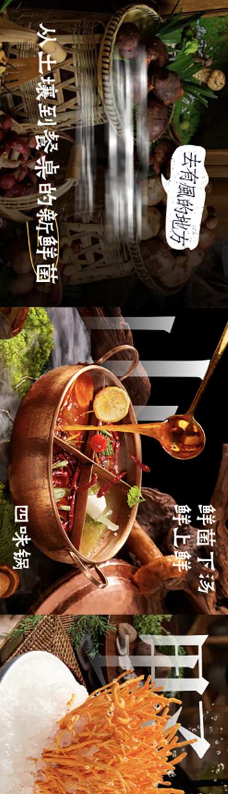云南菌子火锅海报-采灵感-https://www.cailinggan.com/