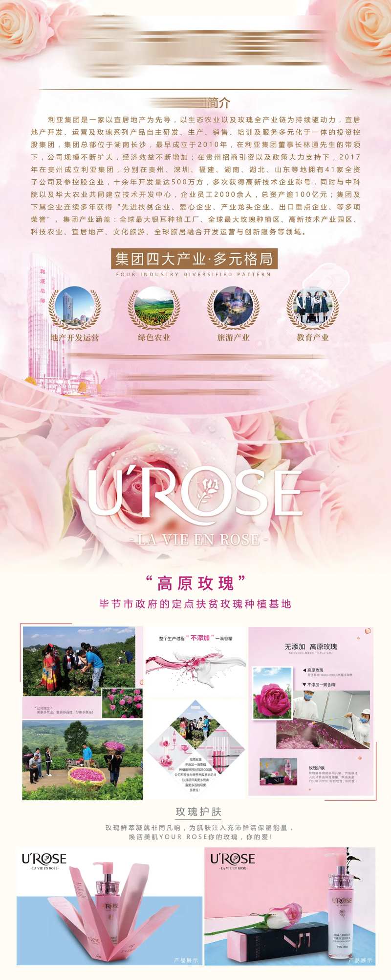 企业价值点易拉宝展板-采灵感-cailinggan.com