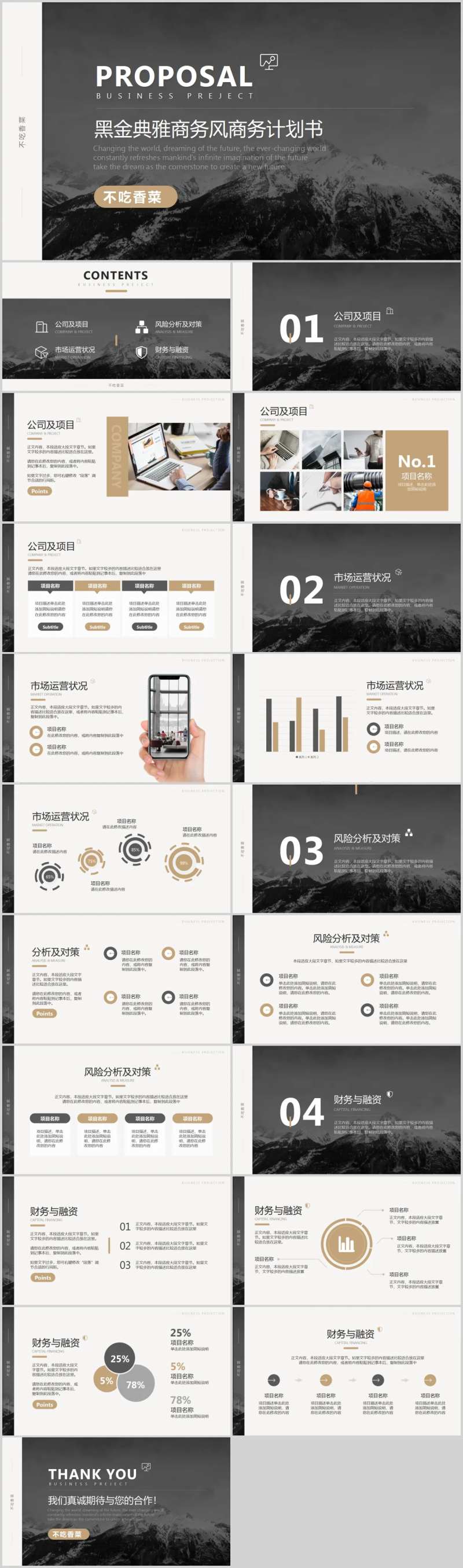 黑金典雅商务风商业计划书-采灵感-cailinggan.com