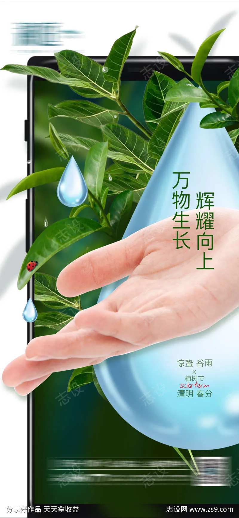万物生长节气海报-采灵感-cailinggan.com