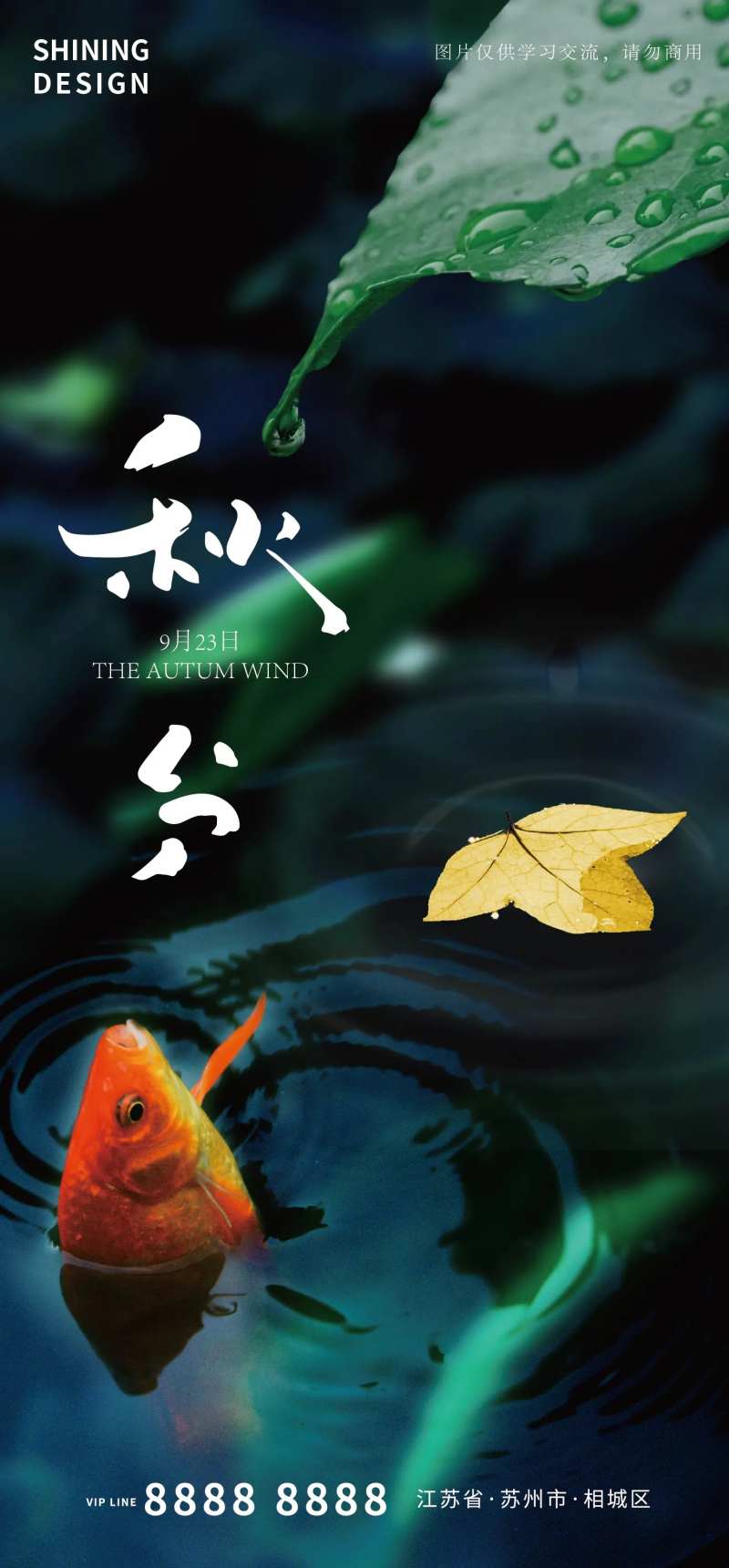 秋分海报-采灵感-cailinggan.com