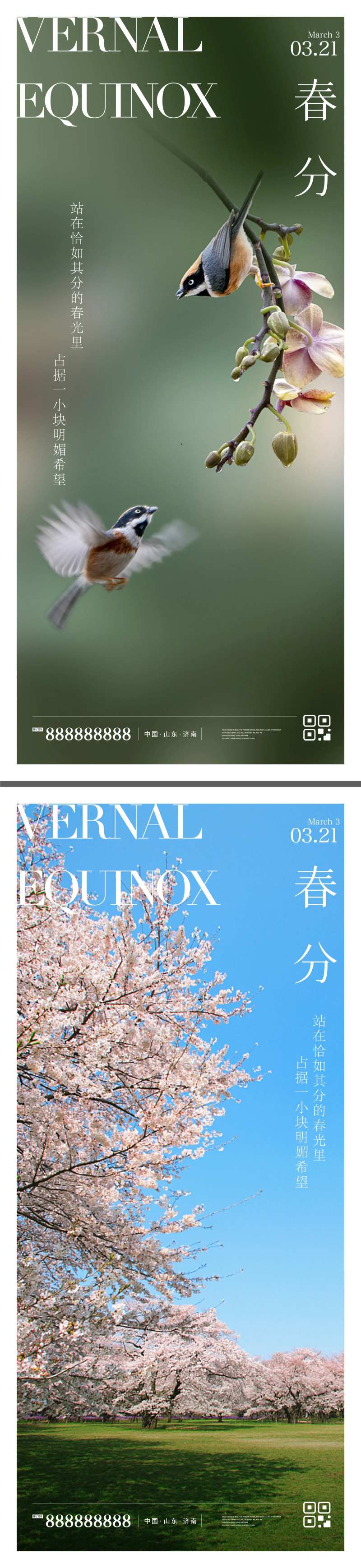春分节气系列海报-采灵感-cailinggan.com