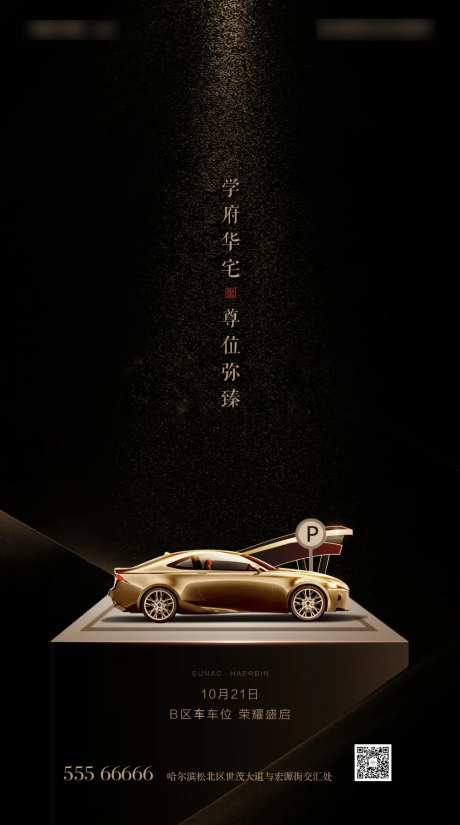 车位价值点黑金海报-采灵感-cailinggan.com