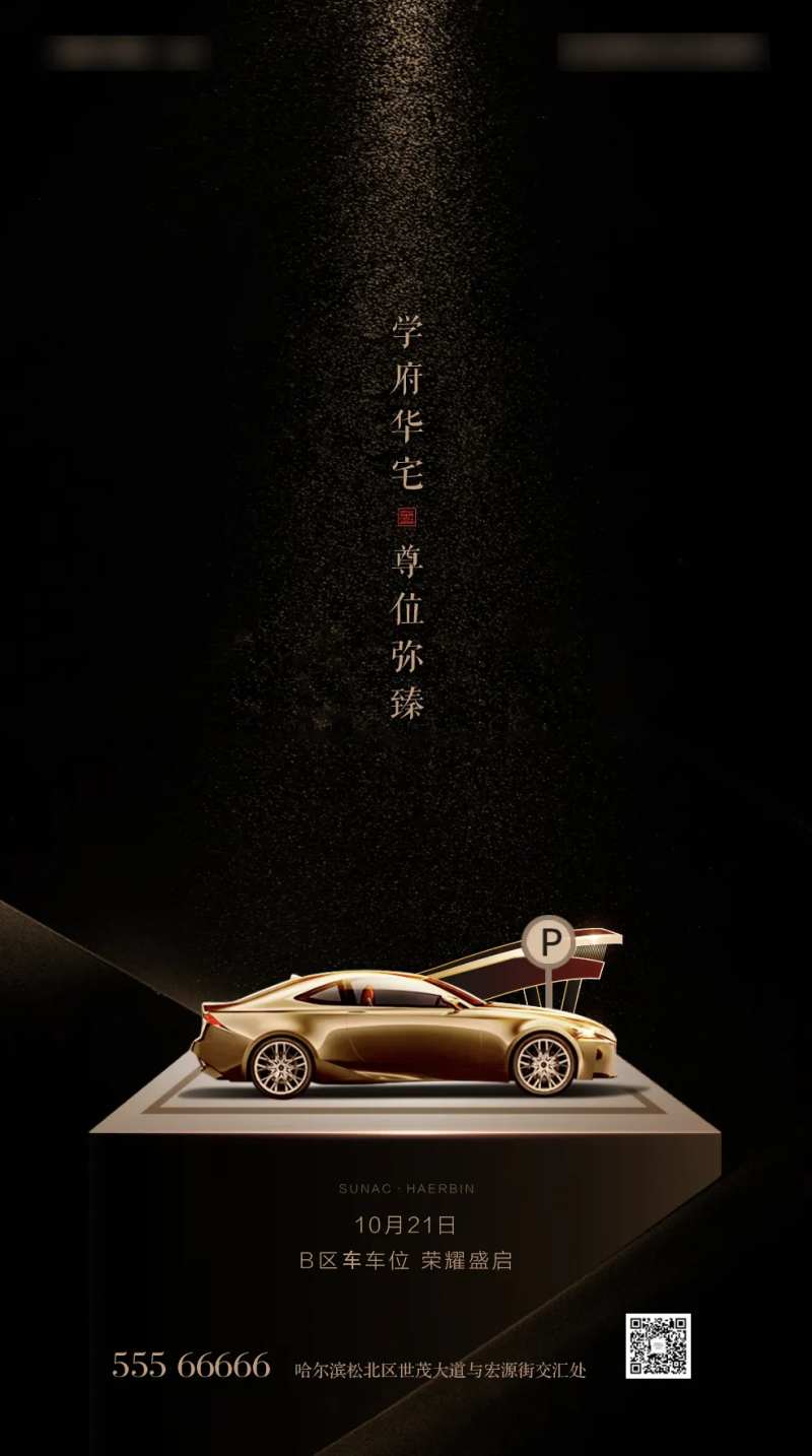 车位价值点黑金海报-采灵感-cailinggan.com