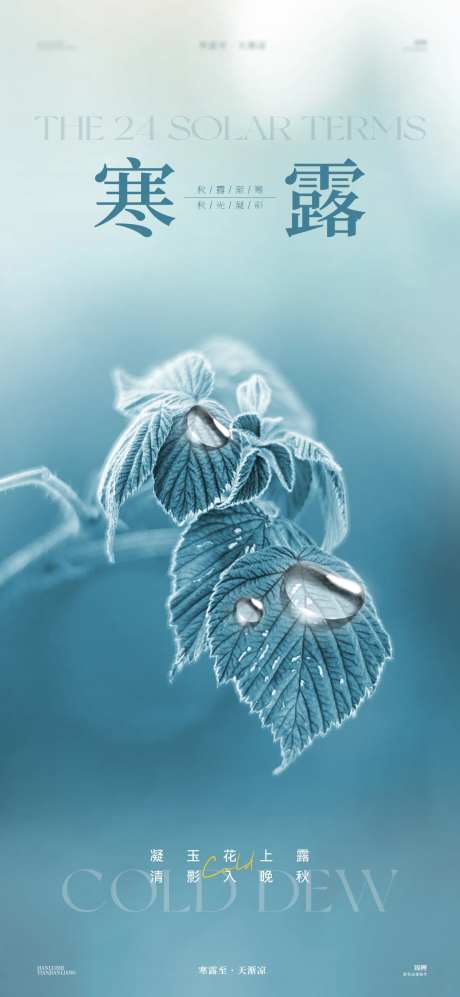 寒露露水海报-采灵感-https://www.cailinggan.com/