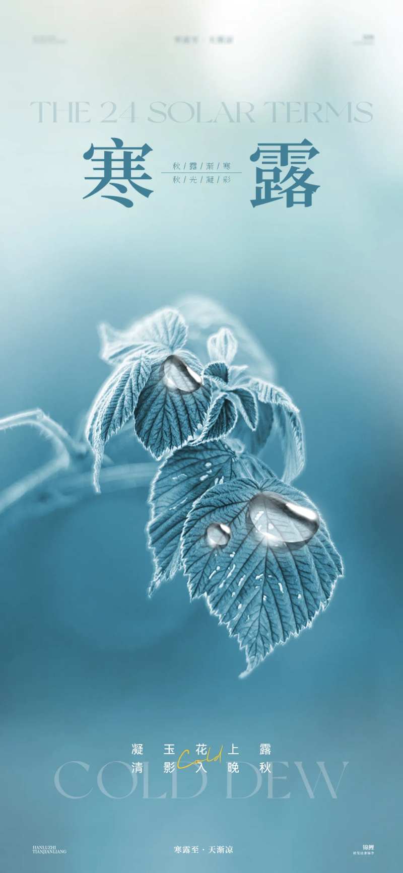 寒露露水海报-采灵感-cailinggan.com